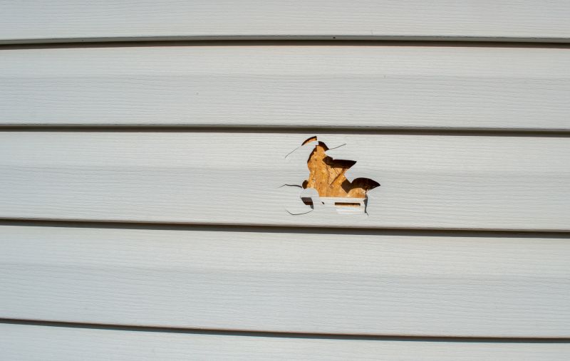 Siding Panel Repair