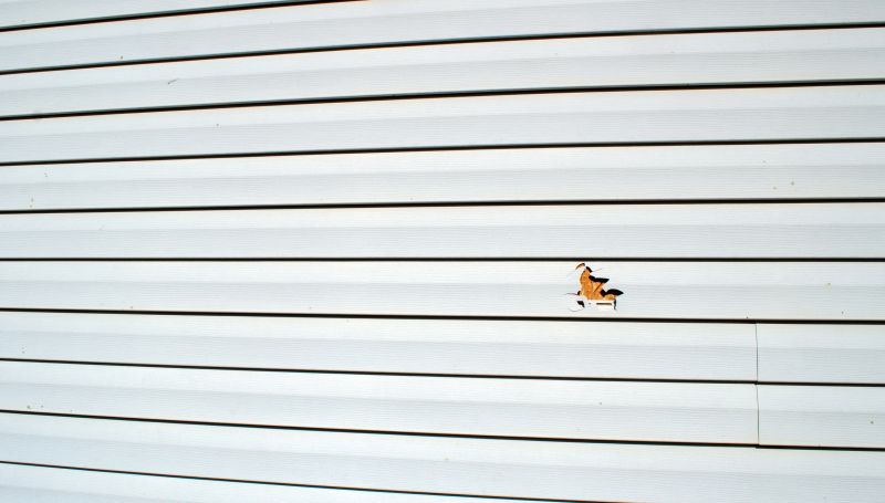 Vinyl Siding Repair Process - Image 1